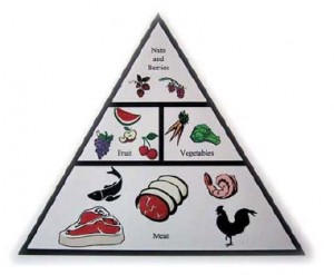 paleo-pyramid